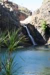 Kakadu