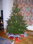 09 - Xmas tree