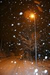 01 - Street light