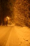03 - Down the road