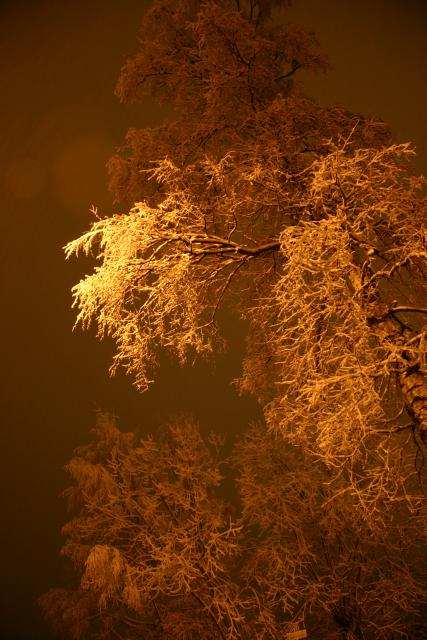 04 - Branches