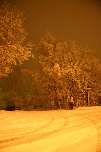 05 - Our drive.jpg