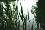 10 - Bright Water