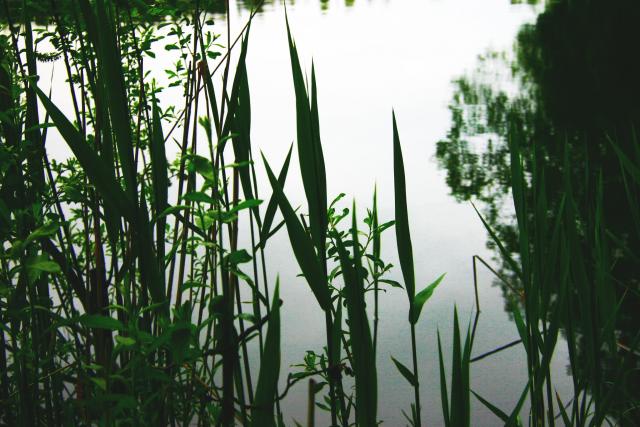 10 - Bright Water