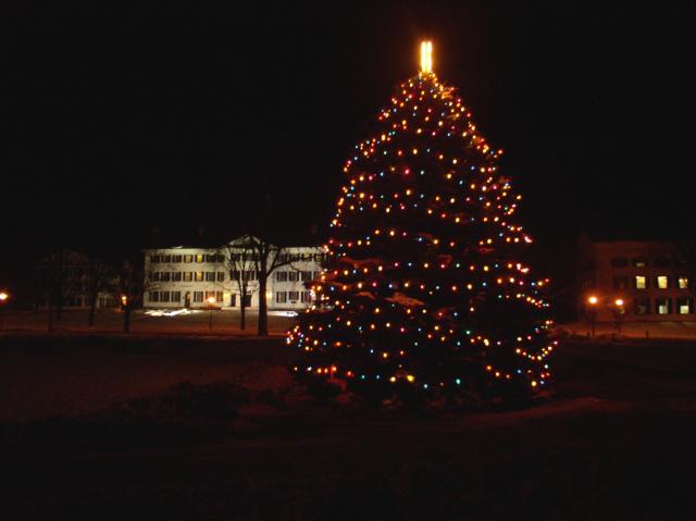 11 - Xmas tree