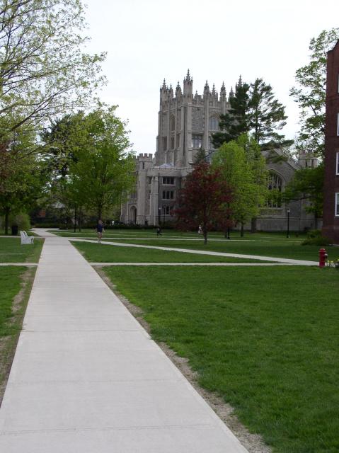 91 - Library from Quad