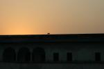 IMG_1755