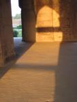 IMG_1907